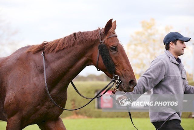 Yargi Racing tweet media