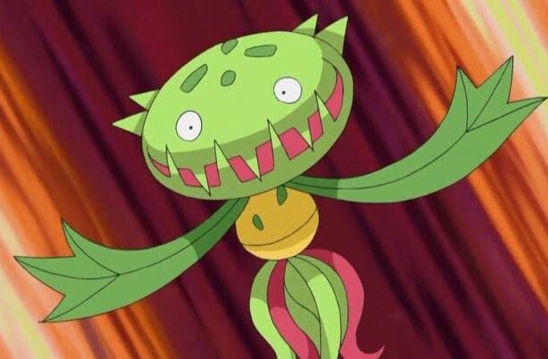 Nam Miu404のブルーレイ欲しい コジロウのポケモンをみつけたw お花屋さんに ハエトリソウとウツボカズラが 隣同士でいたw さすがに写真は撮れなかったから 画像探して マスキッパとウツボット T Co 3fv7z2vn Twitter Nam Miu404のブルーレイ欲しい コジロウのポケモンをみつけたw お花屋さんに ハエトリソウとウツボカズラが 隣同士でいたw さすがに写真は撮れなかったから 画像探して マスキッパとウツボット T Co 3fv7z2vn Twitter