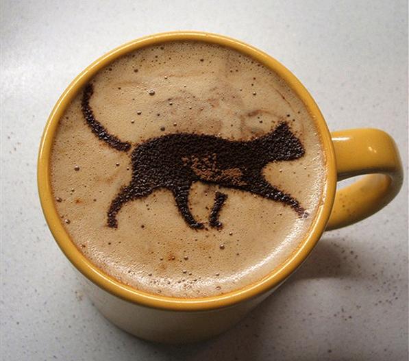 carolJhedges's tweet photo. COFFEE? https://t.co/rheFTr1Pzr
