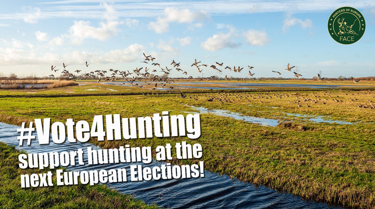 FACEforHunters's tweet photo. ⏰🗳️ #Vote4Hunting ▶️ 🇪🇺 The next @Europarl_EN should work to promote more #flexibility in the management of abundant Goose populations which cause damages to agriculture and other interests. #TraditionalHunting must be also respected under #BirdsDirective https://t.co/Kf3oigRwKU https://t.co/5yXhQjK8Ny