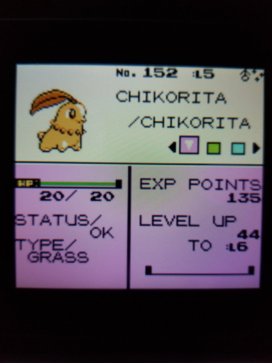 My last reset for the night. This always happens idk why 😂 5901 SRs on crystal. I love the shade of orange in this game than yellow in later gens. I also get to have a challenge moving forward ☺