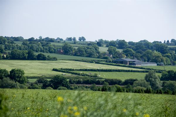 MitchellDiane's tweet photo. @nfutweets is looking for an adviser who can work on policy matters related to clean air and clean water, two issues at the top of the farming, political and environmental agenda.

Deadline for applications is 9th June.

https://t.co/3nN5WP9efY https://t.co/XjPBQBgI2G