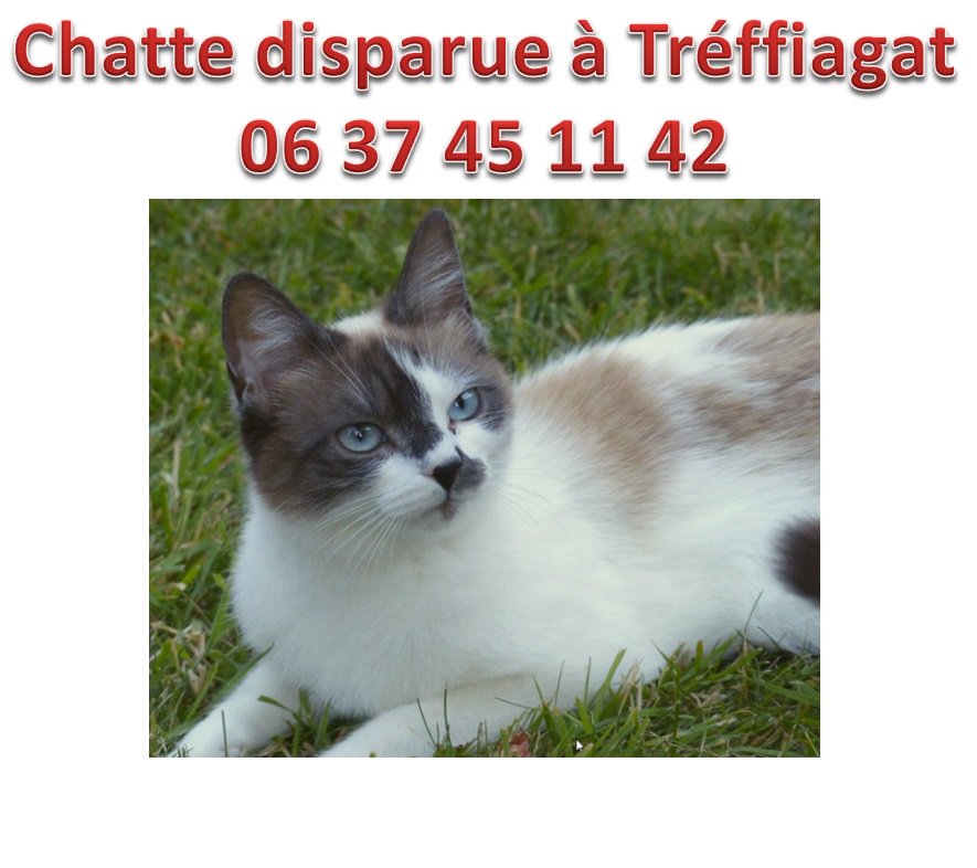 Michel tweet media