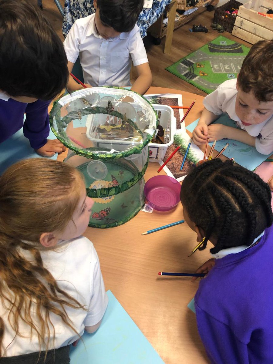 HPA_Philip_Lane's tweet image. Guess who came out to say hello to Benidorm class this afternoon... 3 beautiful butterflies 🦋! We cannot wait for our other chrysalises to metamorphose! 
#HPAPLReception #HPAPLEYFS