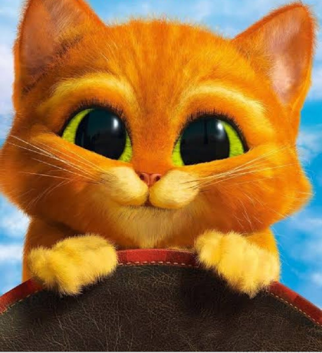 Фильма, смешная картинка кота из шрека