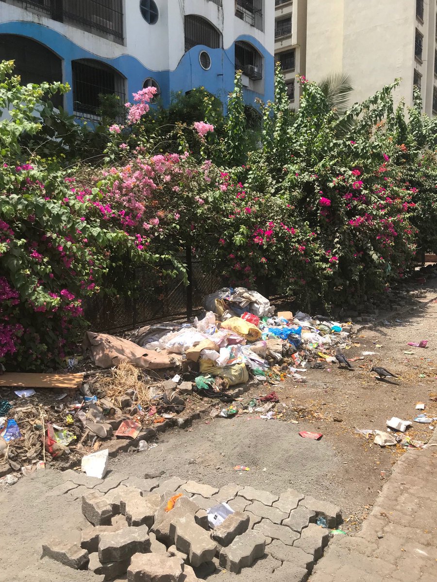 VersovaKiran's tweet photo. 3/3 @MCGM_BMC @LavekarBharati @rohanrathodBJP @MCGMswm please help in making the area clean, safe and live-able for all inhabitants https://t.co/OX0O8NKGsK