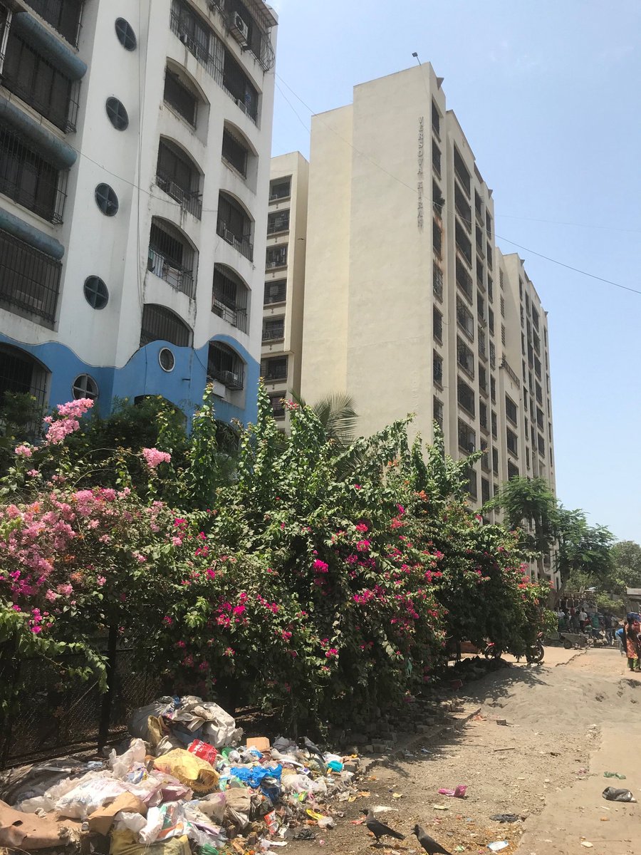 VersovaKiran's tweet photo. 3/3 @MCGM_BMC @LavekarBharati @rohanrathodBJP @MCGMswm please help in making the area clean, safe and live-able for all inhabitants https://t.co/OX0O8NKGsK