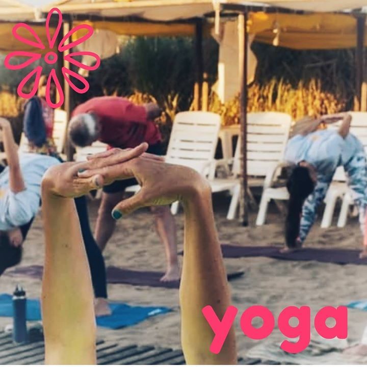 DelucaEstudio's tweet photo. Te alineamos el cuerpo, la mente y el corazón. Veni a practicar Yoga con nosotros !! 
•
•
Yoga Integral - Lunes y Miercoles 10.30hs con @andreitarodaro 
•
Hatha Yoga - Lunes y Miércoles 19.00hs con @lauriideluca 
• 
Vinyasa Yoga - Martes y Jueves 15.00hs con @croccoaleja… https://t.co/w5sRPSswf5