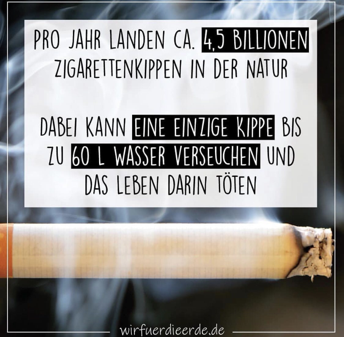 Hey Liebe Raucher Denkt Dran Dass Ihr Eure Zigarettenstummel Nicht Einfach In Die Natur Werfen Solltet Benutzt Einen Portablen Aschenbecher Oder Raucht Vegane Biologisch Abbaubare Zigaretten T Co Ev1ydctqzy