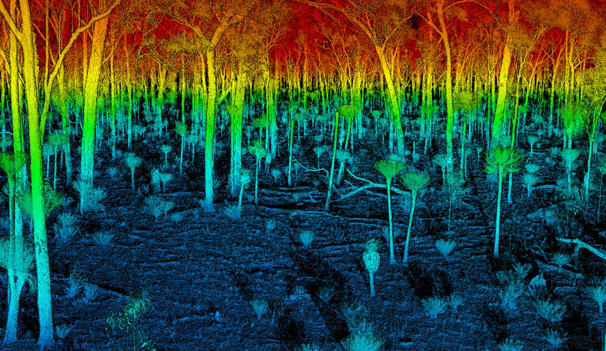 shaunlevick's tweet photo. Come join us in the vast savanna landscapes of the Northern Territory, Australia!
@CSIROnews #lidar #ecology #remotesensing
CSIRO Postdoctoral Fellowship in Ecological Remote Sensing https://t.co/55YhRksBiU https://t.co/24Fbt4cESq