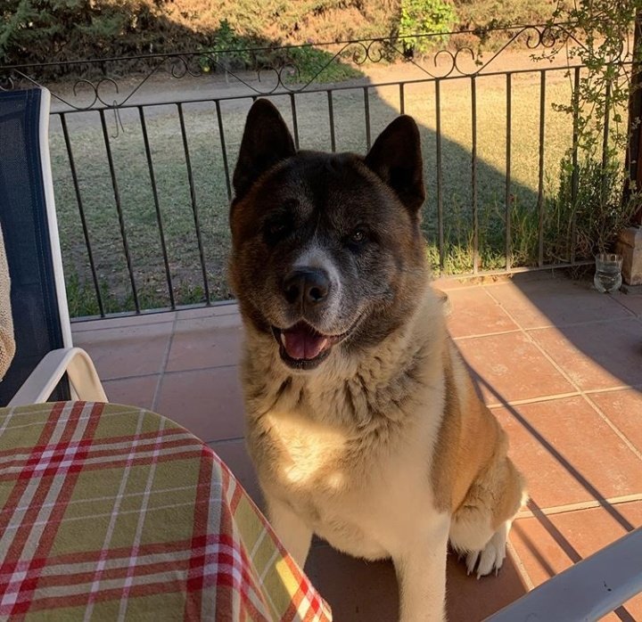 Cristian Garin tweet media