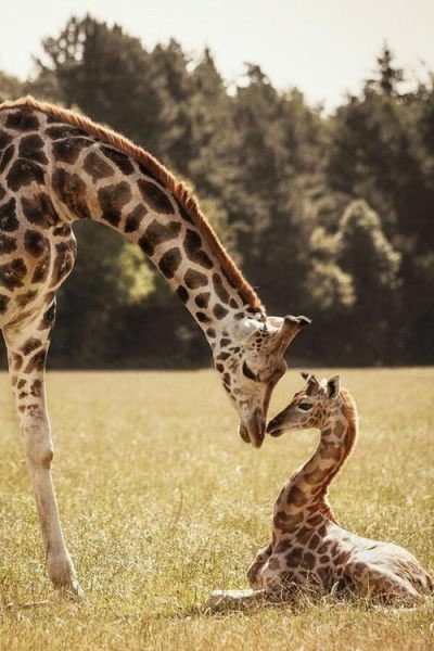 SpottedDacey's tweet photo. Happy Mother’s Day♥️ https://t.co/d0UcvPwK8m