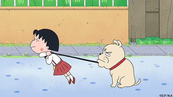 ちびまる子ちゃん 公式 در توییتر 今日5月13日は愛犬の日 みぎわさんの愛犬アマリリスをお散歩中 ねぇ お願いだから歩いてよ ちびまる子ちゃん 5月13日 愛犬の日