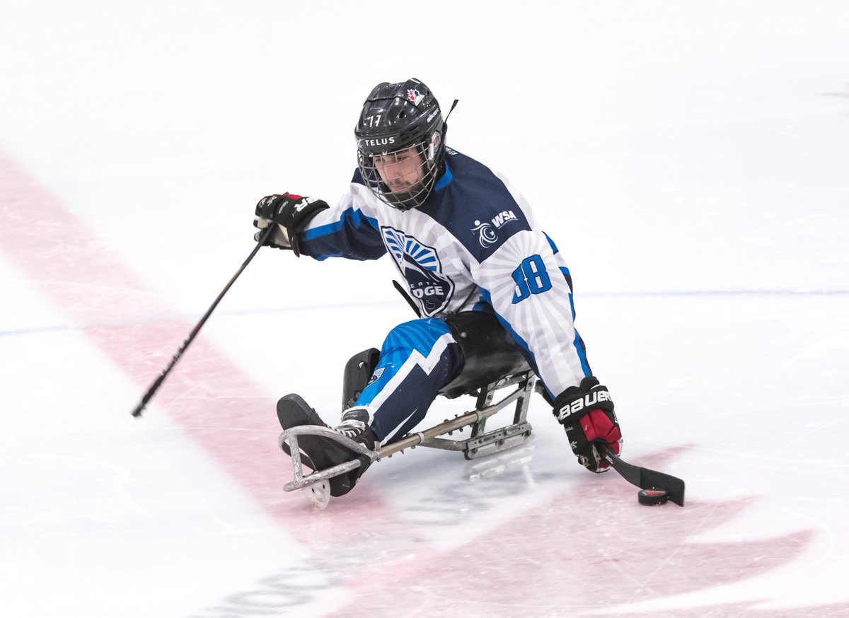 519 Sports Online tweet media