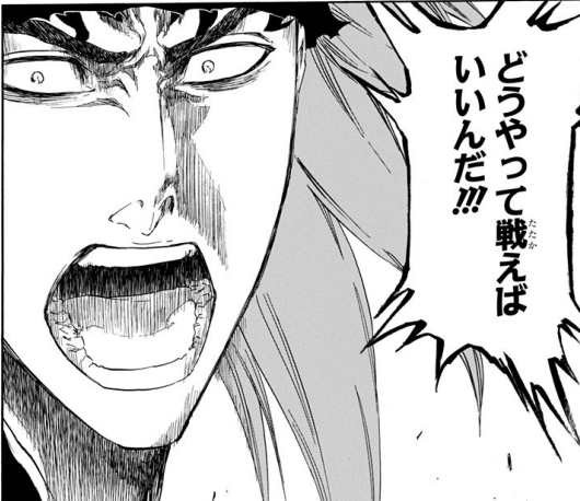 ほたるちゃんフェスのボーダーを見て 