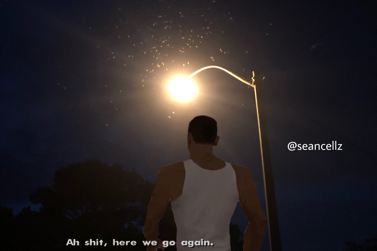 seancellz's tweet photo. When you go outside at night in the summer https://t.co/h4IwVkBwMo