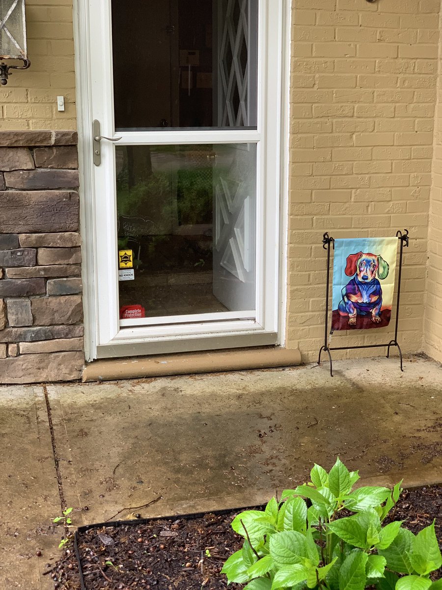 If the flag is out, the Prince is home in the castle. 🐾 👑 😝