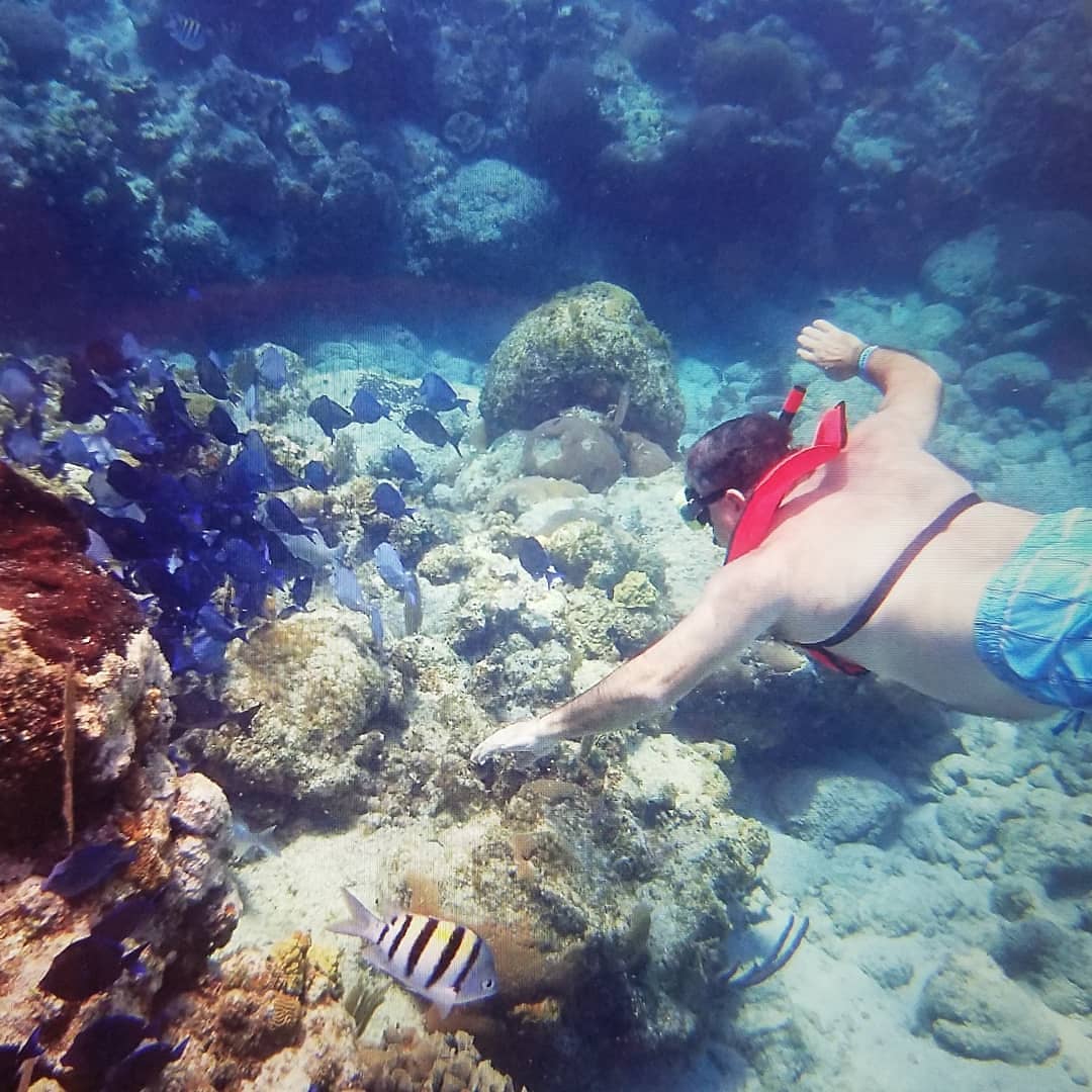 Great <a href="/CarnivalCruise/">Carnival Cruise Line</a> on Dream to #roatan. Fab snorkeling Beautiful Tabyana beach