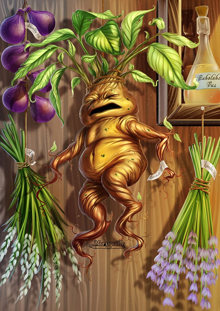 Harry Potter Lexicon on Twitter "Mandrake Herbology PomonaSprout 