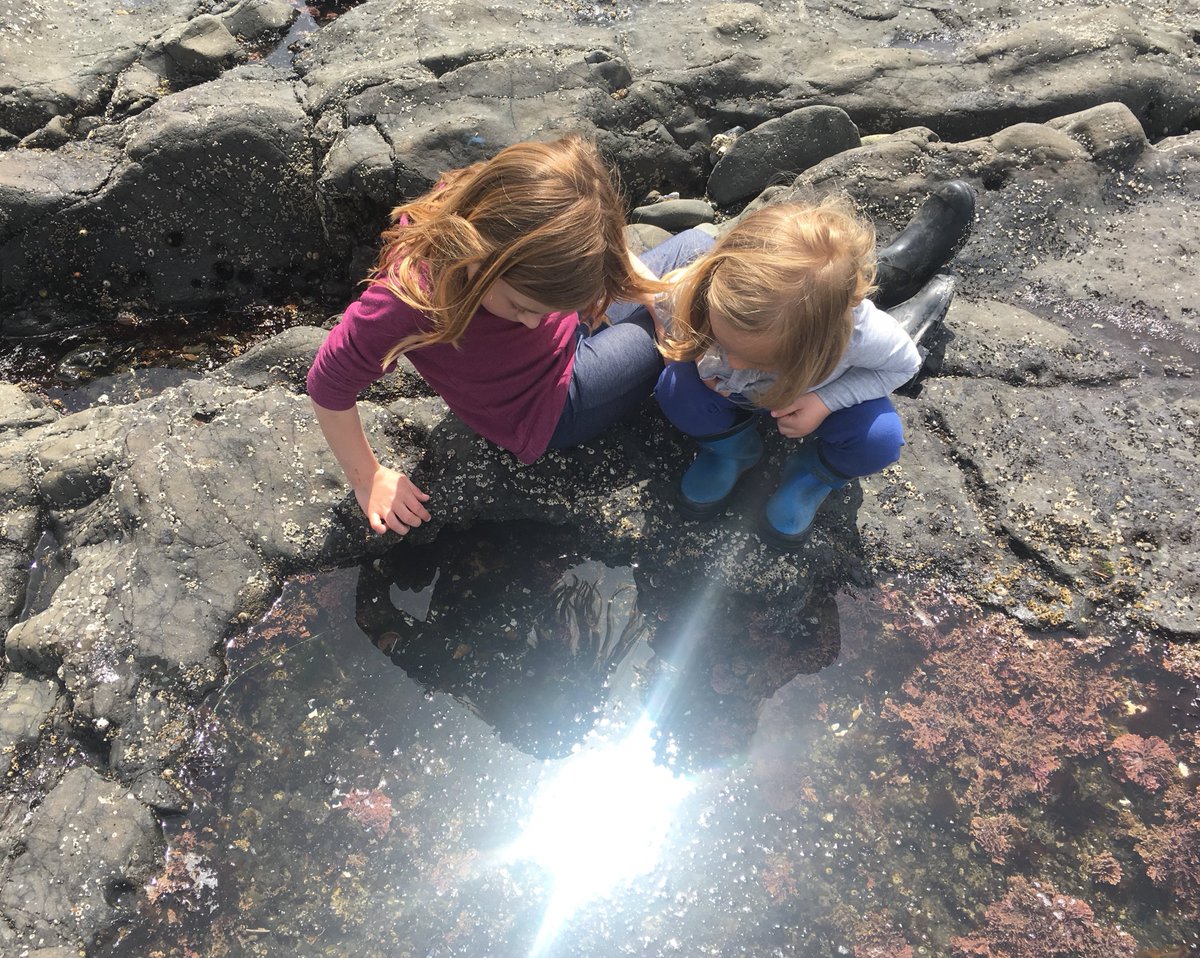 smbrander's tweet photo. Sometimes a good tide falls on Mother's Day and you get to spend the day out in the pools with your favorite people! #STEMparenting #StrawberryHill @500womensci @500WS_Corvallis @EmtOsu https://t.co/Ej90F2JMYE