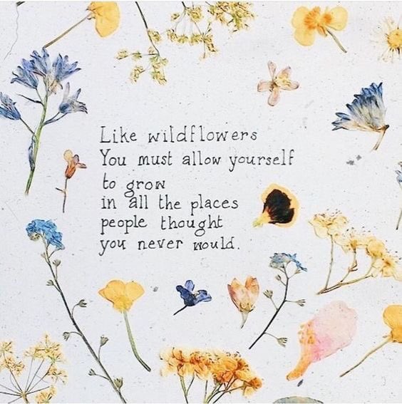 madelinektaylor's tweet photo. #MondayMotivation https://t.co/5NnHP7bn7V