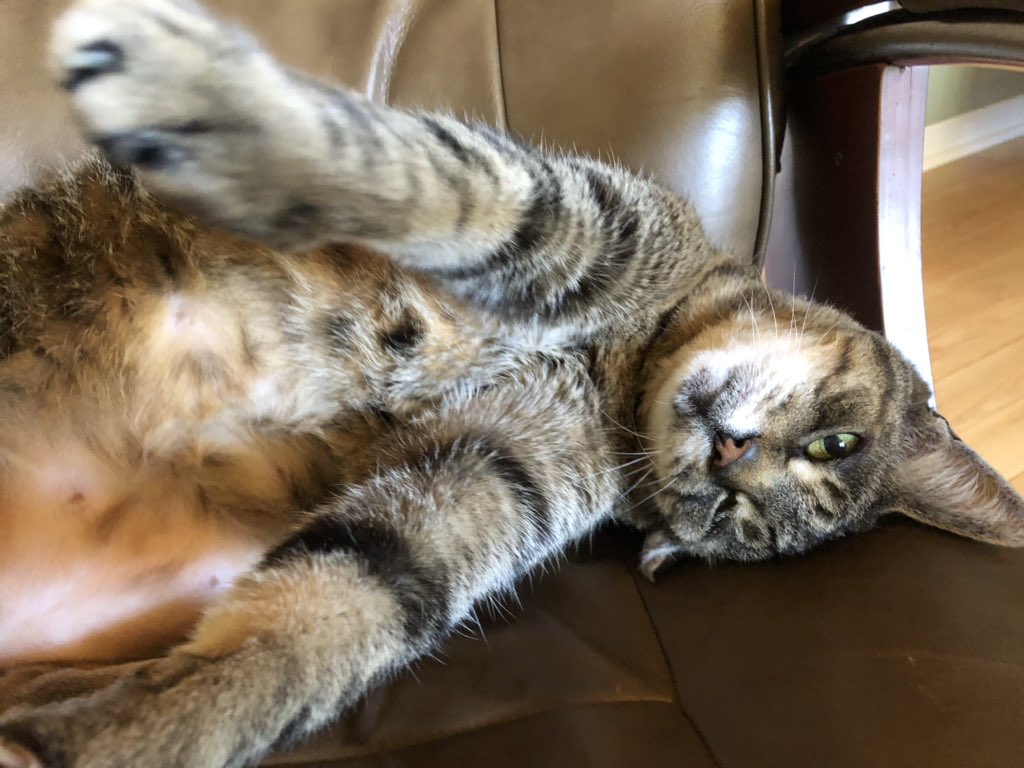 KeitherKeith's tweet photo. 💖💛💖💛💖💛💖💛💖💛💖

Another week begins.

Be kind. Be bold. Be happy. 

Start Monday with a smile on your face.

I’ll be thinking about you. 

#KeithDoesMonday

💖💛💖💛💖💛💖💛💖💛💖 https://t.co/9wld9U9rcF
