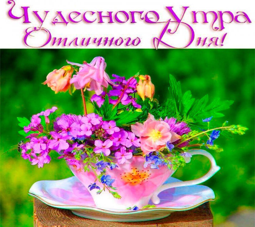 Доброго утра чудесного дня открытки