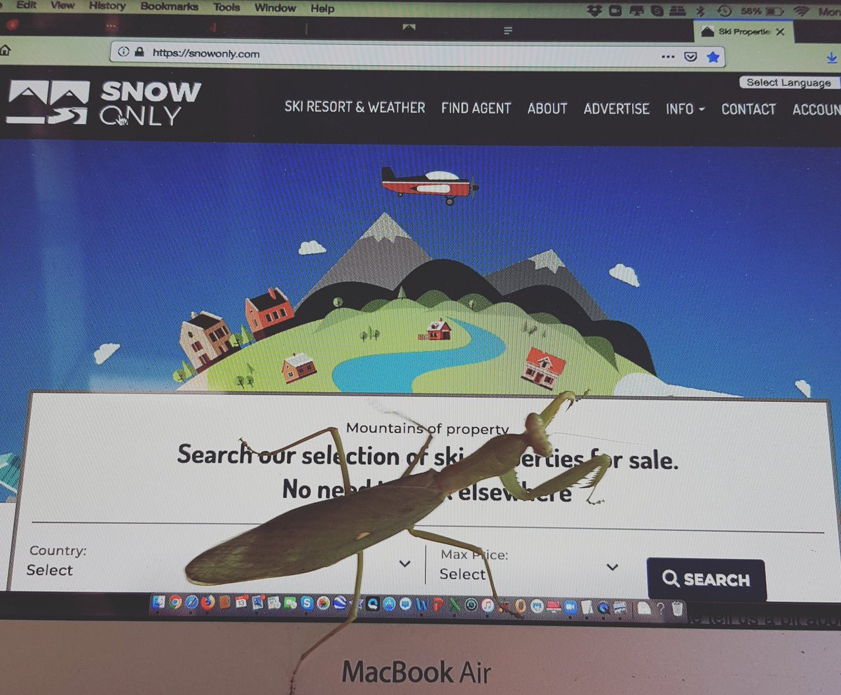 Mark_SnowOnly's tweet image. #prayingmantis looks for ski property with @Snowonlyski .