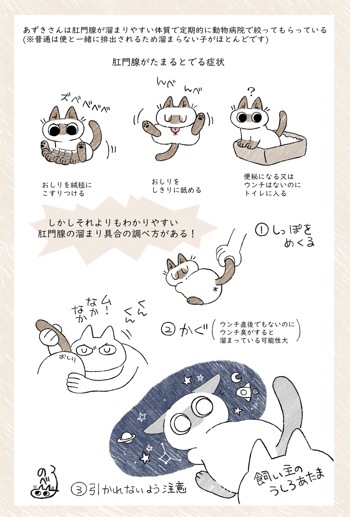 のべ子 Chaoterrarin 溜まらないほうがいいよ いつもしぼるときすごく臭いから おしり 嗅ぐと嫌われるよね 猫も恥ずかしいのかな 笑 Twitter