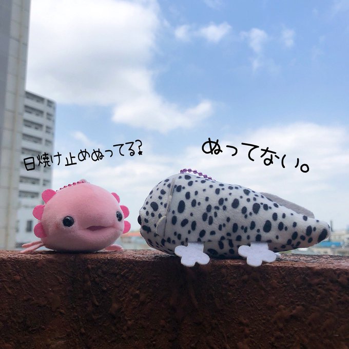 日本オート玩具 公式 さん がハッシュタグ もちぷに をつけたツイート一覧 1 Whotwi グラフィカルtwitter分析 日本オート玩具 公式 さん がハッシュタグ もちぷに をつけたツイート一覧 1 Whotwi グラフィカルtwitter分析