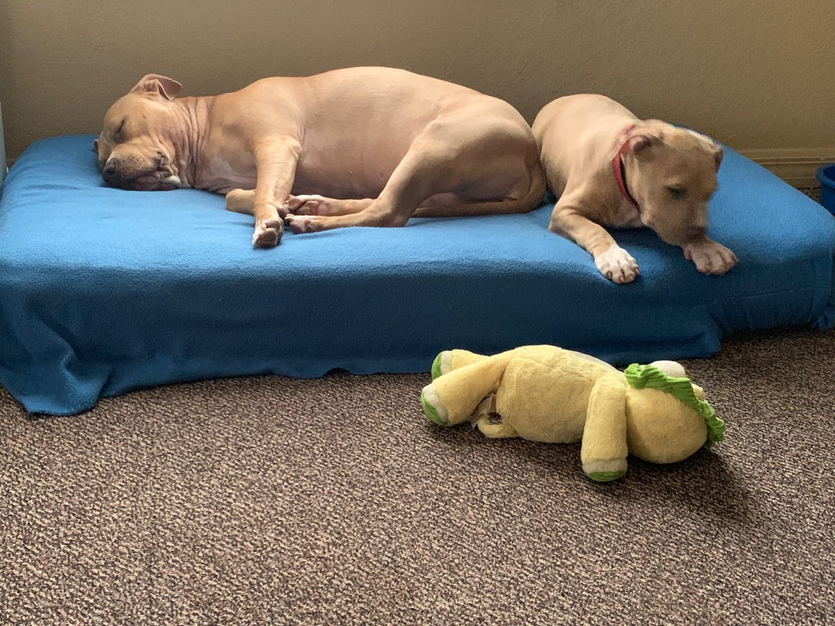 Big sister and little brother.