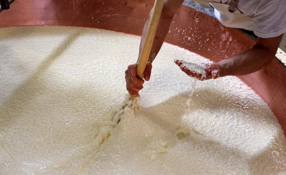 consvaccherosse's tweet photo. La lavorazione del #parmigianoreggianovaccherosse è ricca di gesti antichi che il casaro ripete ogni giorno, nel rispetto della tradizione.
La nostra è una storia unica al mondo: continuiamo a produrre il #parmigianoreggiano come mille anni fa… 
#consorziovaccherosse https://t.co/XUJmDrFW8b
