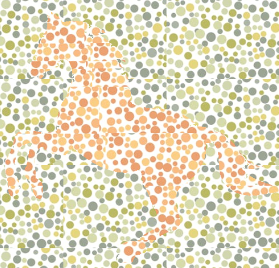 Color blind test for Kids