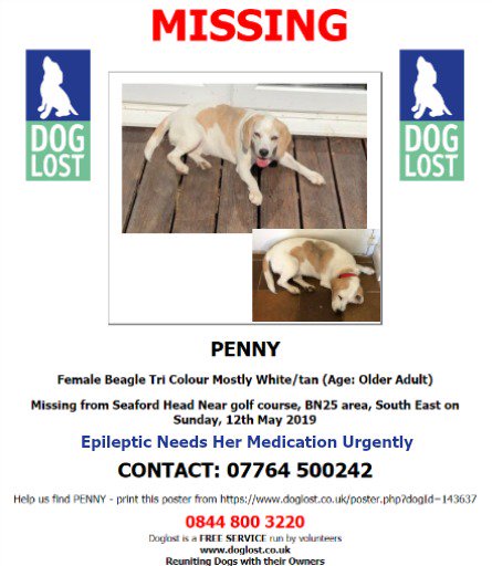 DogLostUK's tweet photo. #LOST #DOG PENNY * URGENTLY NEEDS EPILEPTIC MEDS
Female Tri Colour Mostly White & Tan Older Adult #Beagle
#Missing from #SeafordHead Nr Golf Course #Seaford #EastSussex #BN25
Sunday 12th May 2019
#ScanMe @SAMPAuk_ #LostDog @VetsGetScanning #DogLostUK
https://t.co/F0wCVopIIr https://t.co/YYHUtURMTU