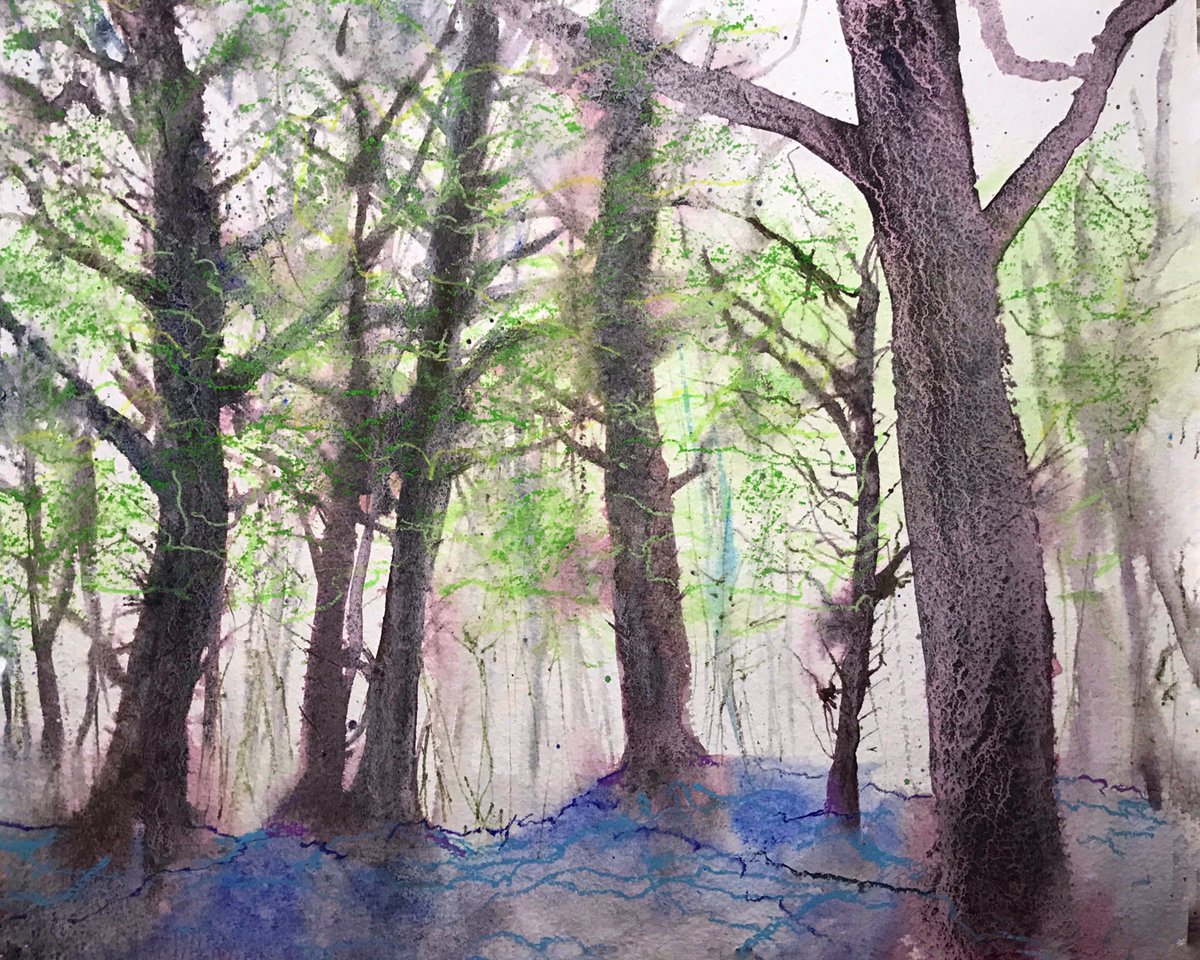 Work in progress can mean plenty of time to make a mess of a watercolour painting. English bluebell woods are a gift to artists in May every year.#ecclesallwoods