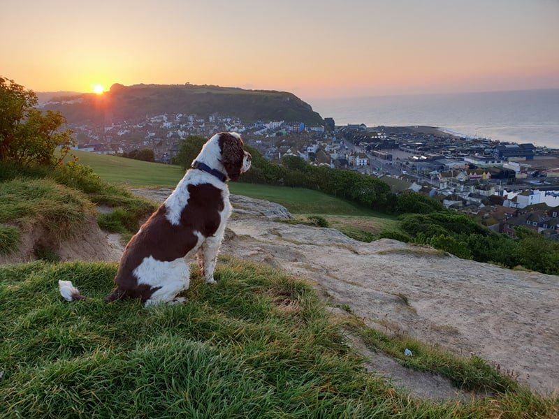 RamblersGB tweet media