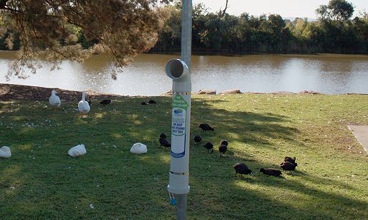 The Wetlands Working Group, a collaboration between stakeholders at Western and Hawkesbury City Council have installed TAngler bins at popular fishing spots throughout the Hawkesbury in an attempt to reduce fishing related waste. ow.ly/H5Bl50u8W51