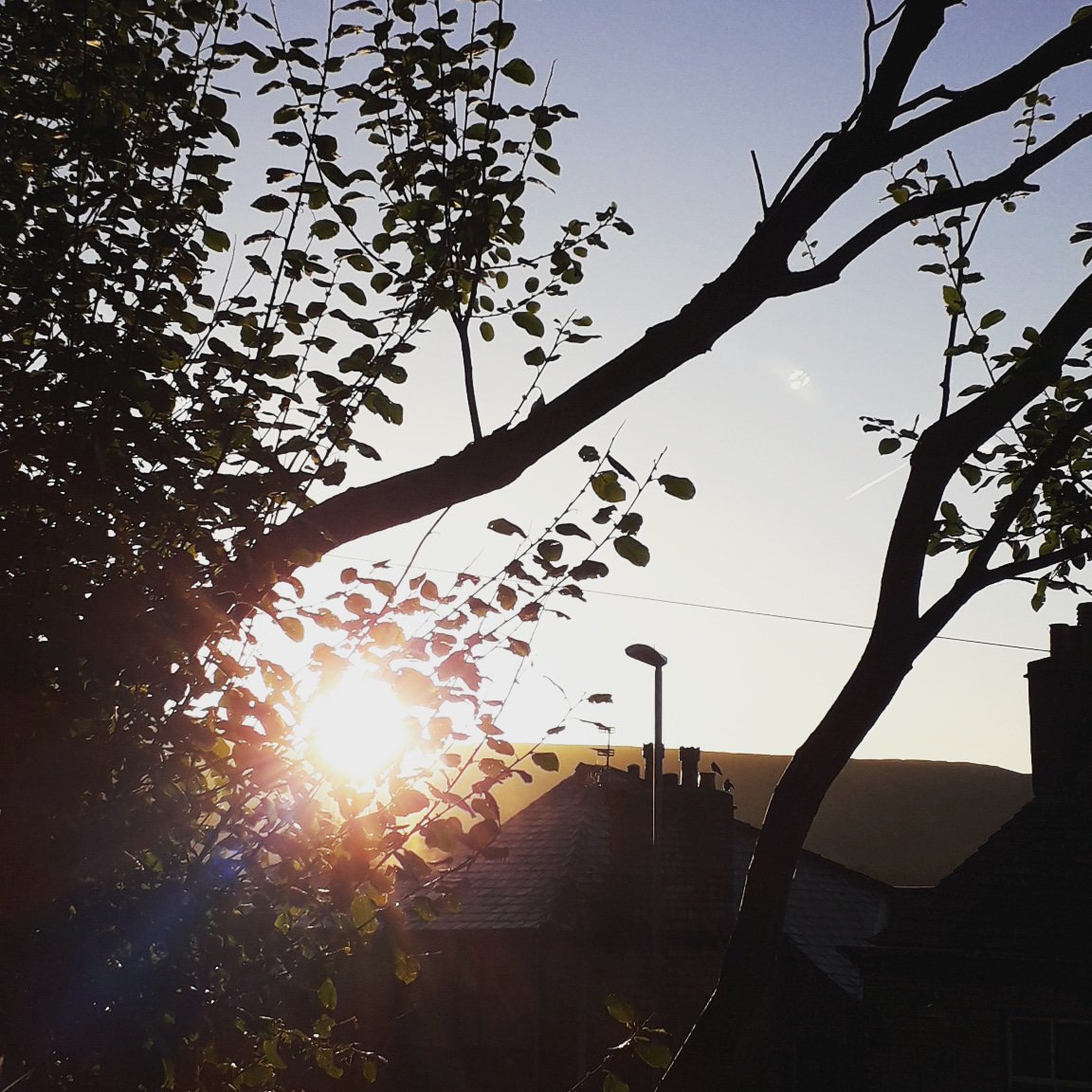 ccpp_pw's tweet photo. The @PlacesProject would like to wish all Y6's the very best as they begin their week of Sats exams. We look forward to having lots or fun with you in your final term at primary school. Keep calm, don't worry and enjoy the sun! https://t.co/7HMoPDx8tN