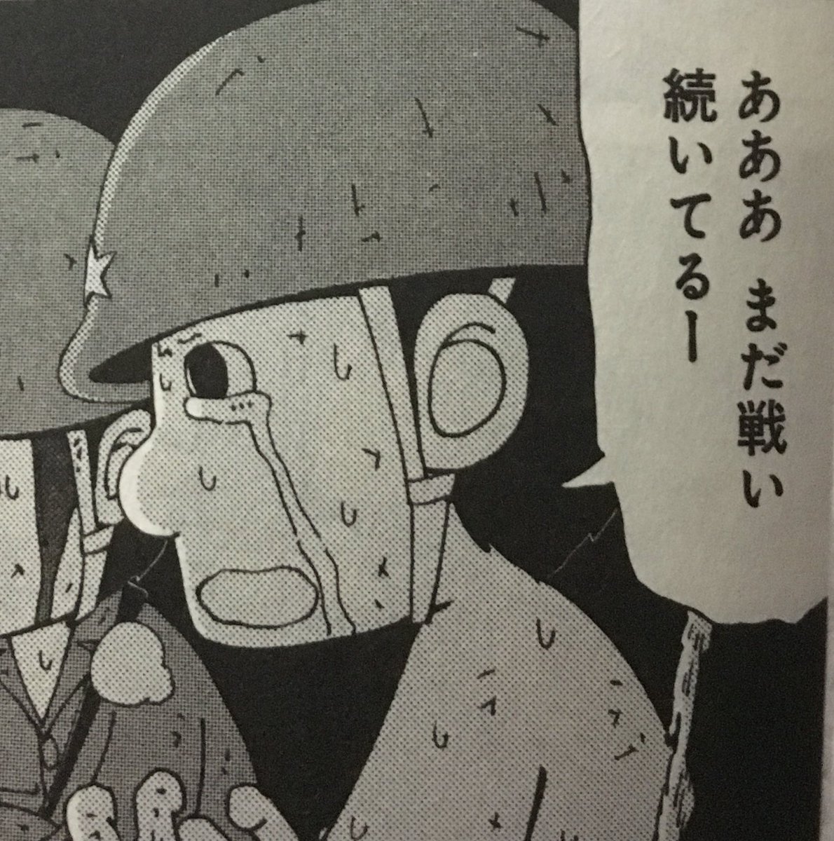 パラオで現地召集された高木二等兵は田丸や吉敷の2年下で、作品中生き残っている面子の中では最年少です。
本来ならまだ召集されるはずでない年齢ですが、現地召集ではそれもありだったようです。
