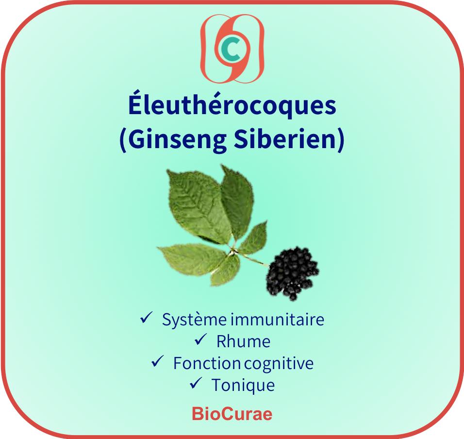 BioCurae's tweet photo. Bonjour! 
Notre actif #BioCurae de la semaine c'est le ginseng sibérien ou éleuthérocoques. 
C'est un "adaptogène" c'est a dire qu'il augmente la capacité du corps à s’adapter aux différents stress, quelles que soient leurs origines.
#Bienetre #santenaturelle #ginseng https://t.co/Tmr7FADlbW