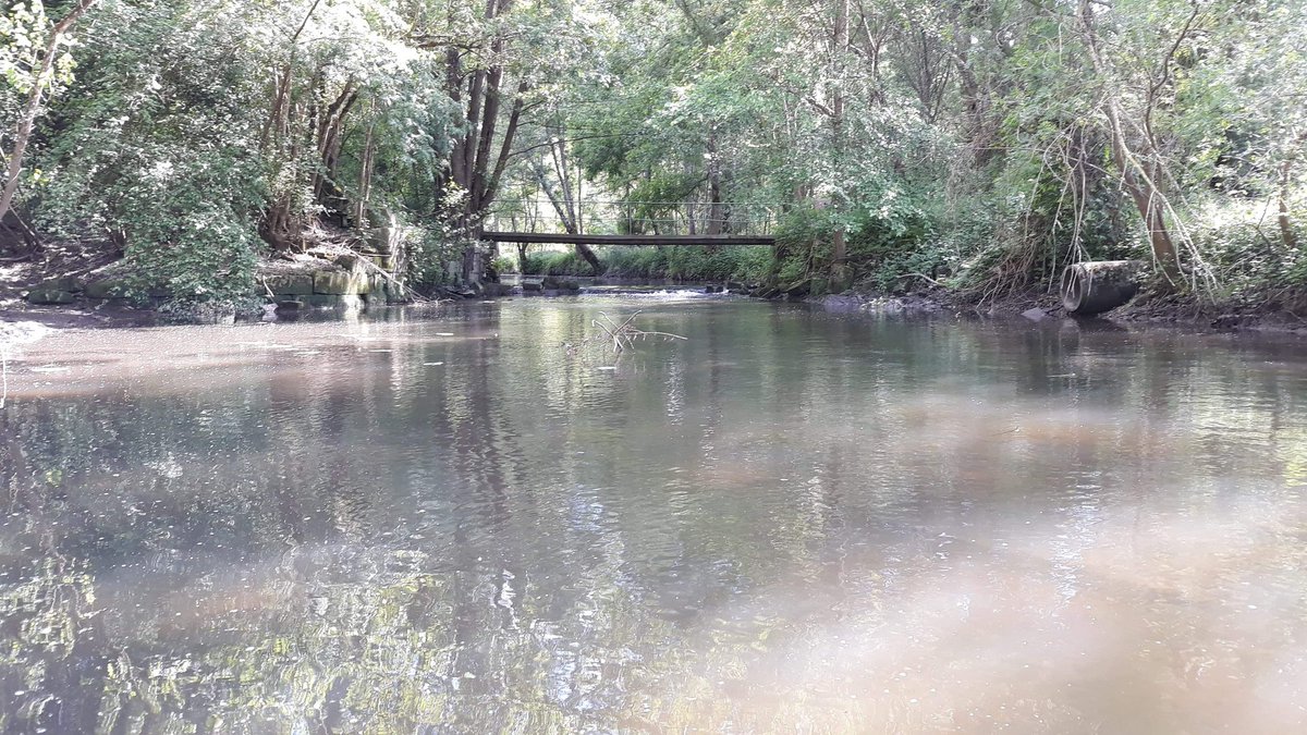 bremaud_s's tweet photo. Ce week-end,  c'était pêche entre amis !  🐠🎣

#fish #fishing https://t.co/cDi203g1Gk