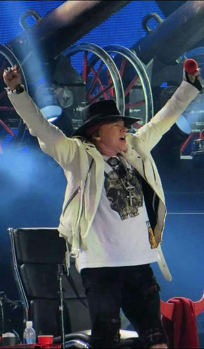 Miki Gechman (@mikigechman) on Twitter photo 