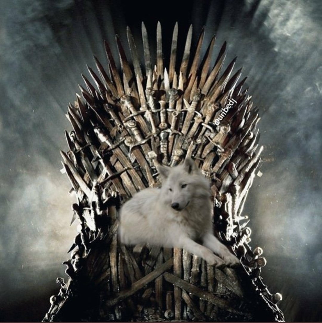 oscarvelasco02's tweet photo. El único que sé merece ese maldito trono
#GameofThrones https://t.co/LcraieKDg6
