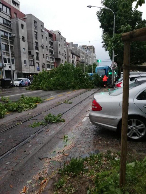 Drvo zaustavilo sve na Maksimirskoj #prometniservis 08008977