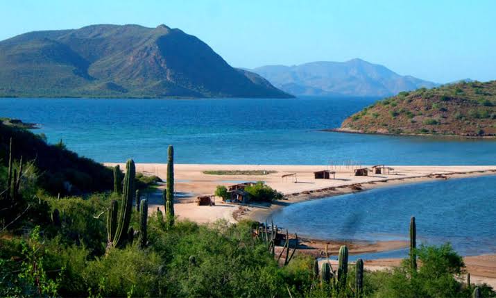 BurroPlaya's tweet photo. Sabías qué la playa el burro es catalogada cómo una de las playas vírgenes de él municipio de Mulege https://t.co/PCqYlfWxAK