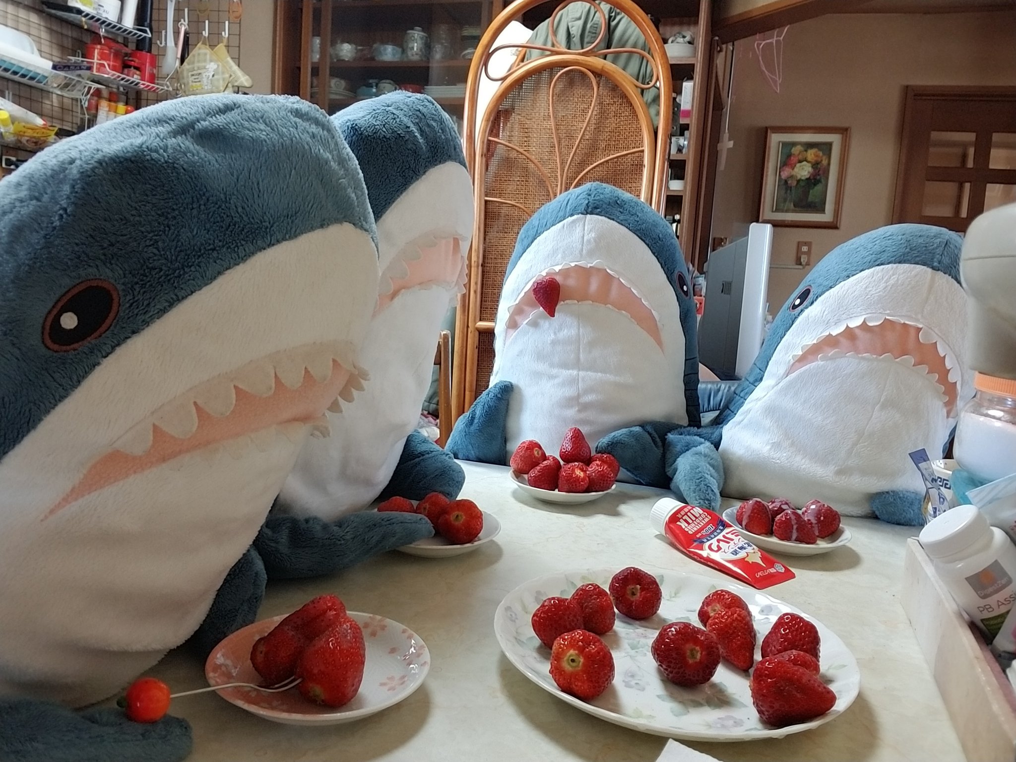 Ikeaのサメ用アカ ワタザメ Twitterren わーいイチゴ