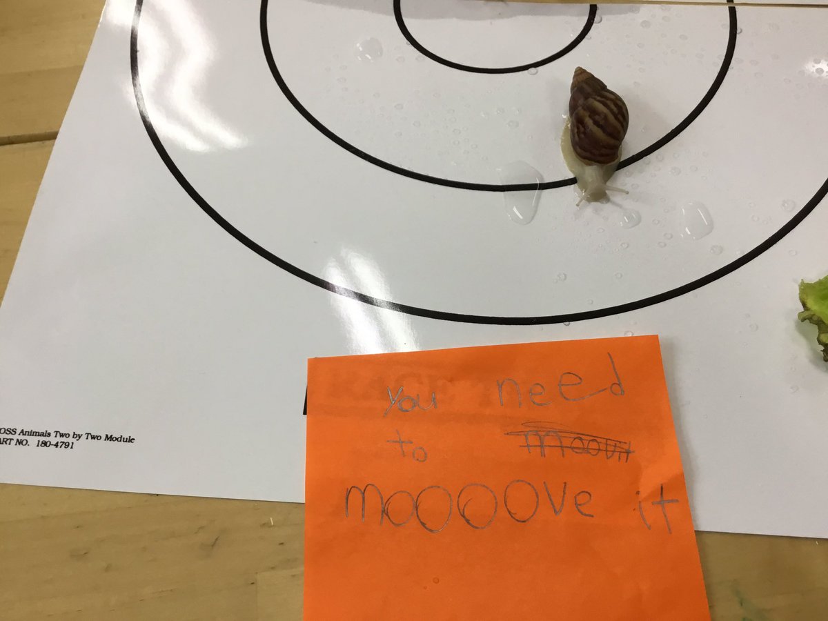 P_DeLuca2nd's tweet image. They made signs to cheer them on 😂#kisj #fossscience