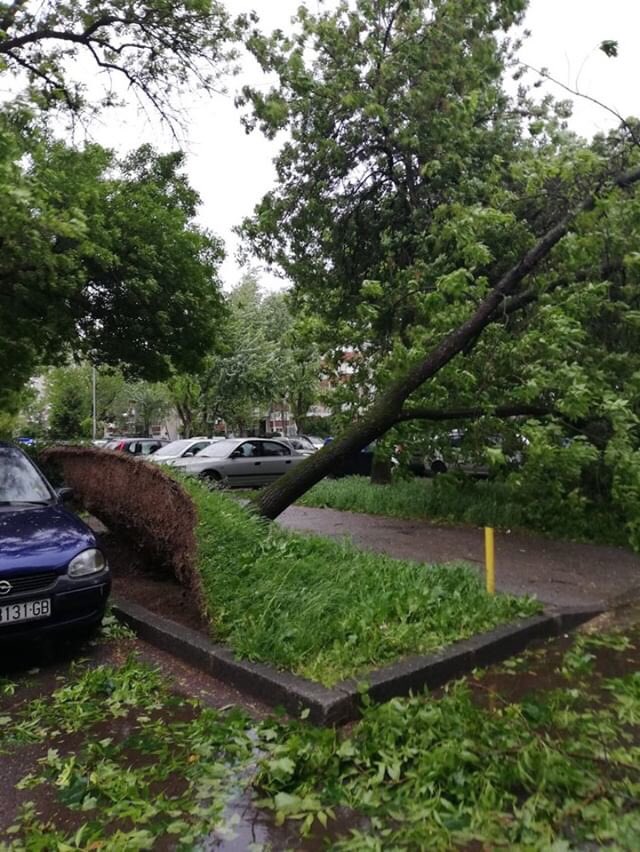 Travno upravo 😨 #zagreb #prometniservis 08008977