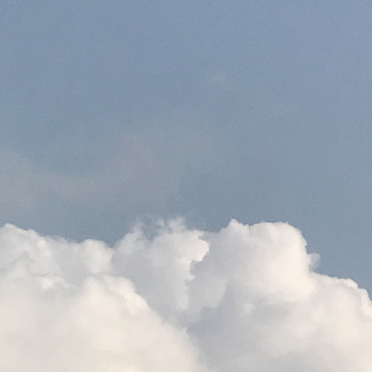 𝗺𝗼𝗼𝗱 tweet media