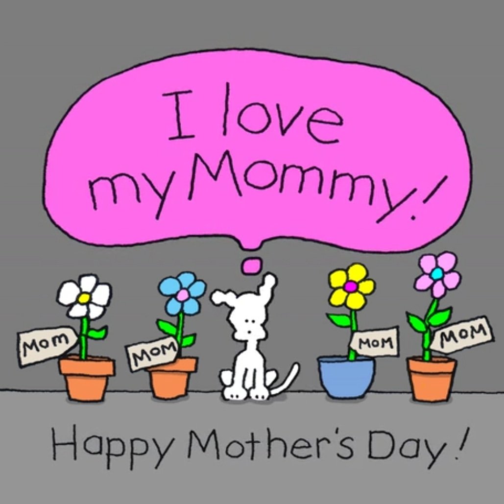 DTLA Directory tweet media